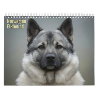 Calendrier mural 2027 du Norsk Elghund