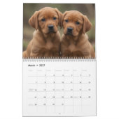 Calendrier Mural 2027 Fox Red Labrador Retriever (Mar 2027)