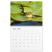Calendrier mural 2027 Grenouilles dans la nature M (Mar 2027)