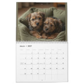 Calendrier mural 2027 Norfolk Terrier (Mar 2027)