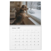 Calendrier mural 2027 Norfolk Terrier (Jan 2027)