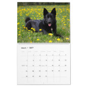 Calendrier mural 2027 pour chien berger allemand A (Mar 2027)