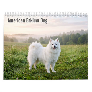 Calendrier mural 2027 pour chien esquimau américai
