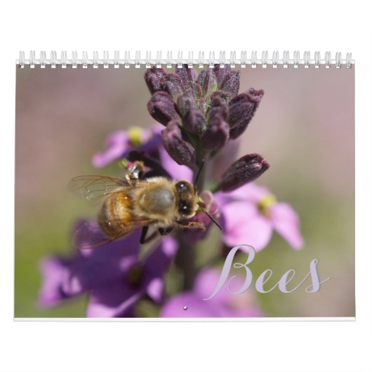 Calendrier Mural Abeilles do-it-yourself CALENDARS (Protection)