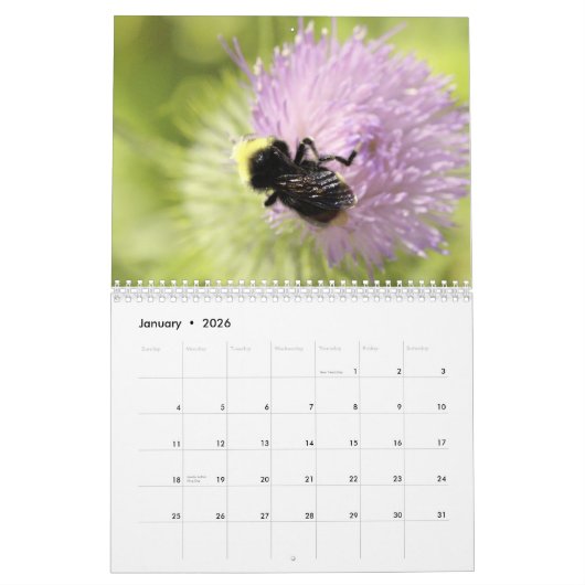 Calendrier Mural Abeilles do-it-yourself CALENDARS (Jan 2026)
