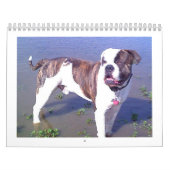 Calendrier Mural Accident urbain de Doo (Protection)