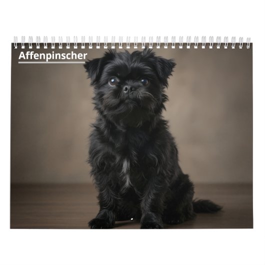 Calendrier mural Affenpinscher. (Protection)