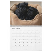 Calendrier mural Affenpinscher 2027 (Mar 2027)