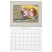 Calendrier Mural Agilité 2017 de golden retriever (Mar 2026)