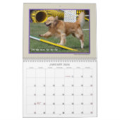 Calendrier Mural Agilité 2017 de golden retriever (Jan 2026)