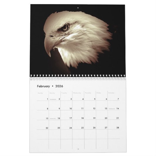 Calendrier Mural Aigles américains (Feb 2026)