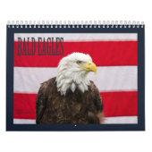 Calendrier Mural Aigles chauds (Protection)
