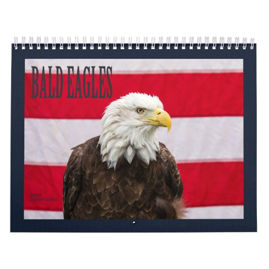 Calendrier Mural Aigles chauds (Protection)