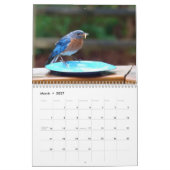 Calendrier Mural Alimentation des oiseaux bleus (Mar 2027)