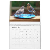 Calendrier Mural Alimentation des oiseaux bleus (Feb 2027)