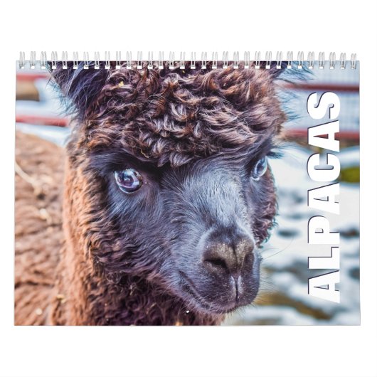 Calendrier mural Alpacas (Protection)
