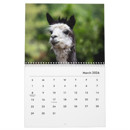 Calendrier mural Alpacas (Mar 2026)