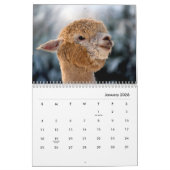 Calendrier mural Alpacas (Jan 2026)