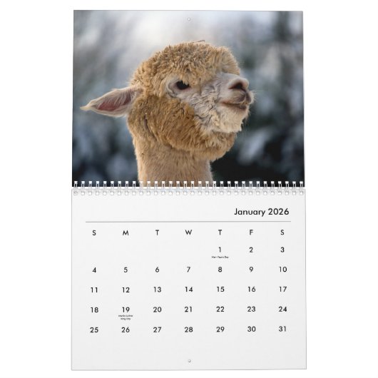 Calendrier mural Alpacas (Jan 2026)