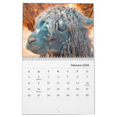 Calendrier mural Alpacas (Feb 2026)