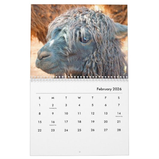 Calendrier mural Alpacas (Feb 2026)
