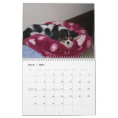 Calendrier Mural Amour cavalier d'épagneul du Roi Charles ! - (Mar 2027)