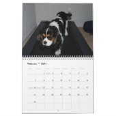 Calendrier Mural Amour cavalier d'épagneul du Roi Charles ! - (Feb 2027)