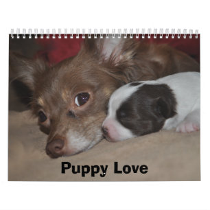 Calendrier Mural Amour de chiot