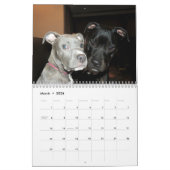 Calendrier Mural Amour de pitbull et de rottweiler (Mar 2026)