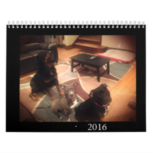 Calendrier Mural Amour de pitbull et de rottweiler