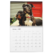 Calendrier Mural Amour de pitbull et de rottweiler (Jan 2027)
