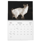 Calendrier Mural Amoureux des chats le Moins de 12 mois du chat (Feb 2027)