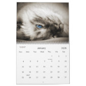 Calendrier Mural Amoureux des chats le Moins de 12 mois du chat (Jan 2026)