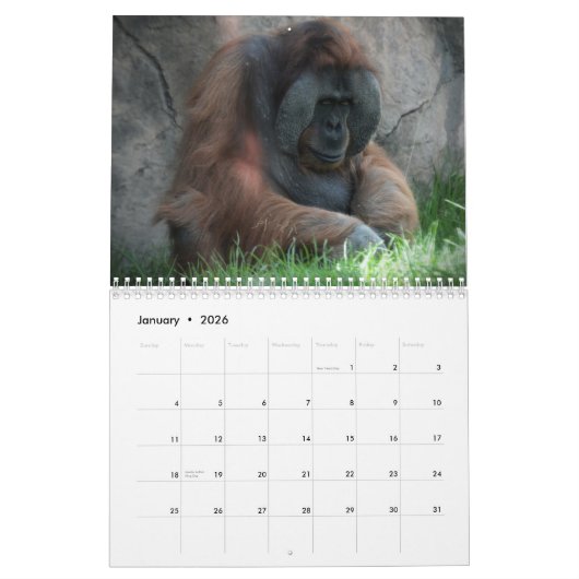 Calendrier Mural Amusement d'animal de zoo (Jan 2026)