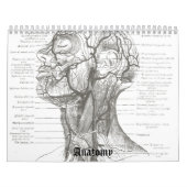 Calendrier Mural Anatomie d'OldSchool (Protection)
