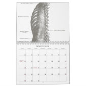 Calendrier Mural Anatomie d'OldSchool (Mar 2026)