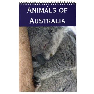 Calendrier Mural animal australien