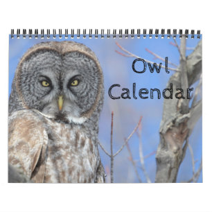 Calendrier Mural Animal Owl Bird Life Office Accueil Destinée Desti
