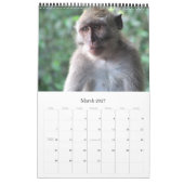Calendrier Mural animaux 2015 (Mar 2027)