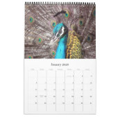 Calendrier Mural animaux 2015 (Jan 2026)