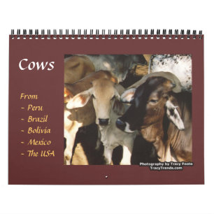 Calendrier Mural Animaux de ferme de vache