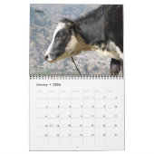 Calendrier Mural Animaux de ferme de vache (Jan 2026)