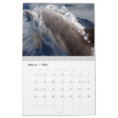 Calendrier Mural Animaux de mer 2015 (Feb 2026)