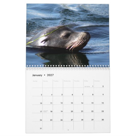 Calendrier Mural Animaux de mer 2015 (Jan 2027)