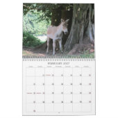 Calendrier Mural Animaux Extraordinaires 2013 (Feb 2027)