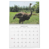 Calendrier Mural Animaux Incroyables 2013 (Mar 2027)