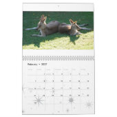 Calendrier Mural Animaux indigènes australiens (Feb 2027)