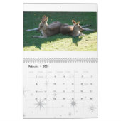 Calendrier Mural Animaux indigènes australiens (Feb 2026)