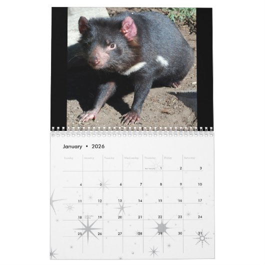 Calendrier Mural Animaux indigènes australiens (Jan 2026)