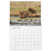 Calendrier Mural Animaux sauvages de l'Afrique (Jan 2027)